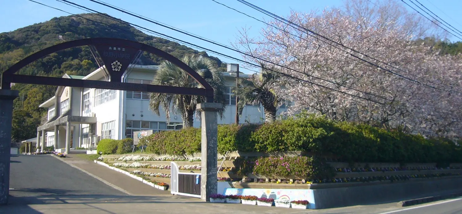桜が咲く学校の正門